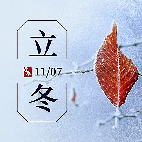 立冬节气树枝落雪特写祝福公众号次图
