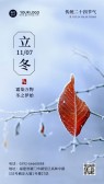 模板缩略图