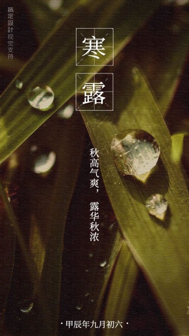 寒露实景祝福海报预览效果