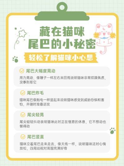 宠物知识科普小红书封面