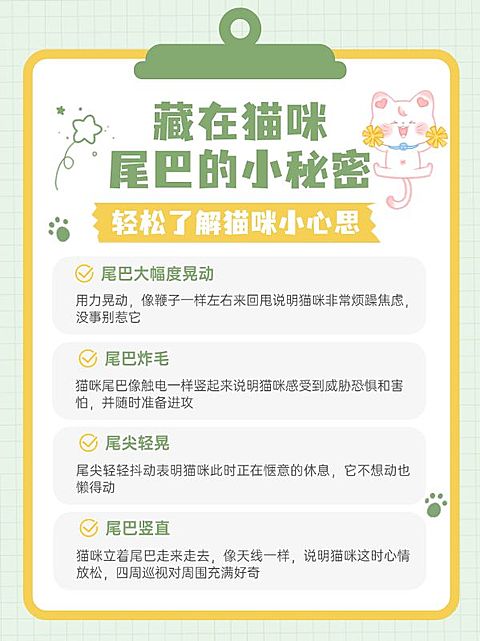 宠物知识科普小红书封面