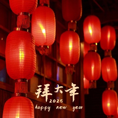 春节新春新年晒图晒照PLOG模板