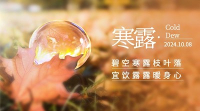 寒露节气祝福问候露珠枫叶横版海报