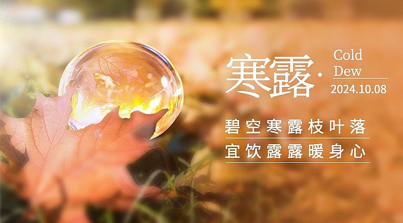 寒露节气祝福问候露珠枫叶横版海报