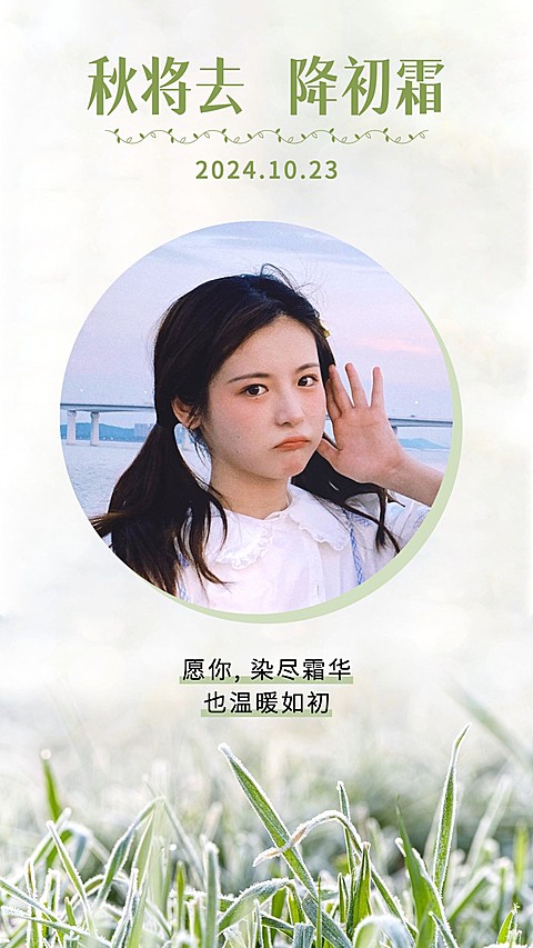 清新简约小草霜降节气祝福晒照