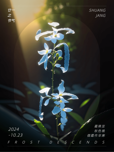 霜降节气祝福SD字体设计小红书配图AIGC