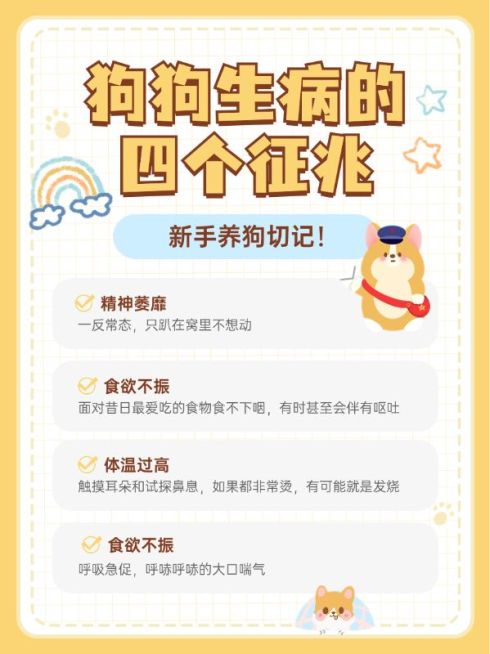 宠物知识科普小红书封面预览效果