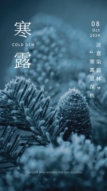 简约寒露节气语录祝福预览效果