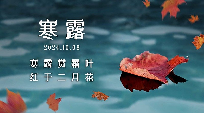 寒露节气祝福枫叶实景湖泊横版海报