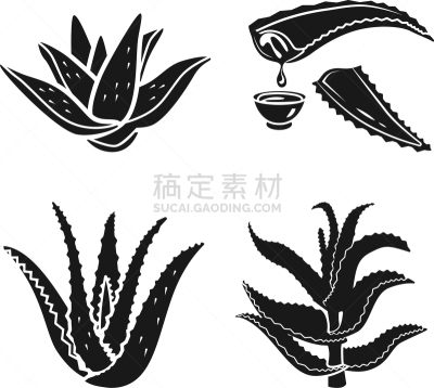 芦荟,图标集,简单,高雅,健康保健,普罗梯亚木,仙人掌,植物,洋葱花,花