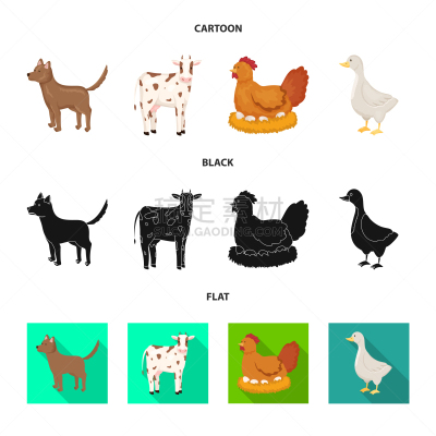 图标,厨房,可爱的,农业,纯种犬,食品,加拿大,狗,牛
