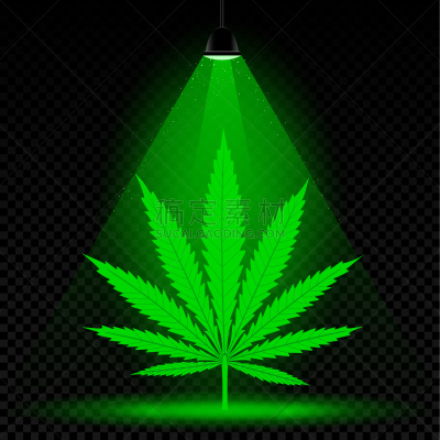 hemp leaf lamp light