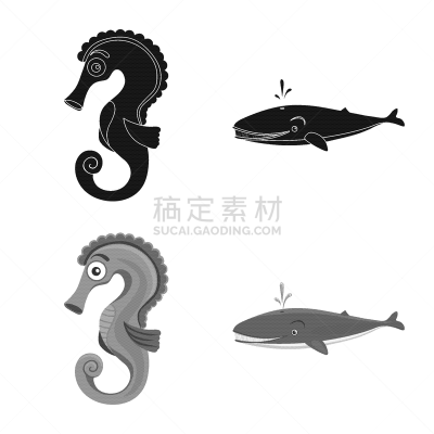 动物,品牌名称,海洋,野生动物,哺乳纲,船,鲸类,蜘蛛网,水下,分离着色