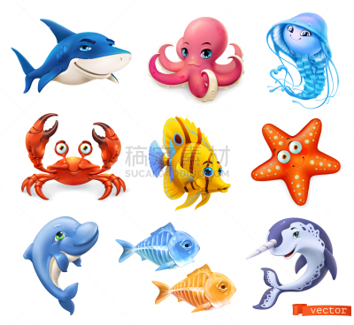海豚,鲨鱼,海星,三维图形,鱼类,图标集,一角鲸,水母,矢量,章鱼