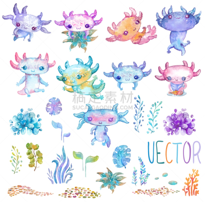 可爱的,Axolotl,性格,水彩画,白色,自然,粉色,图像,火蜥蜴,收集