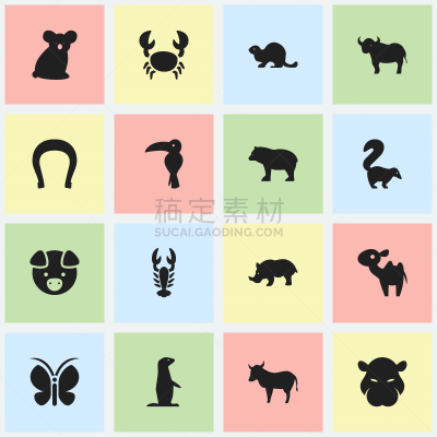符号,动物学,数字16,可爱的,牲畜,动物园,热带雨林,食品,图像,翅膀