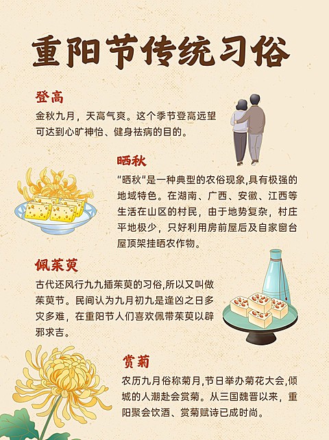 重阳节节日科普小红书套装小红书配图