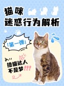 模板缩略图