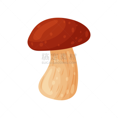 秋天,食用菌,森林,野生植物,色彩鲜艳,清新,比萨饼,蔬菜,自然,篮子