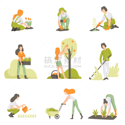 植物群,人,男人,菜园,农业,蔬菜,独轮手推车,环境,关爱,布置