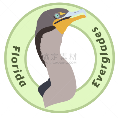 沼泽地国家公园,野生动物,矢量,鸬鹚,国家公园,热带气候,环境,柏树,佛罗里达