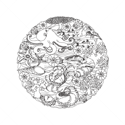 海洋,烟灰墨,设计元素,华丽的,海星,船,自然美,动物,夏天,绘制