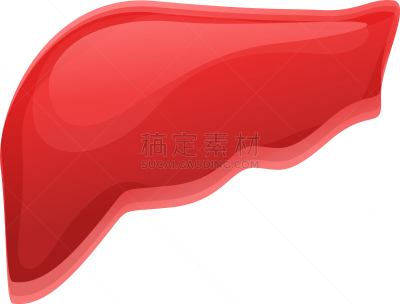 高雅,卡通,计算机图标,肝脏,白色,生物学,活力,健康保健,生病