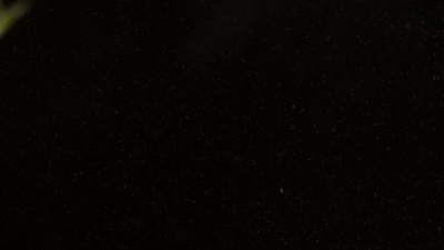 鲜嫩多汁的大菠萝掉进透明的水中，溅起爆炸性的惊人水花。水下高速慢动作。在黑色背景下拍摄隔离。巨型果面