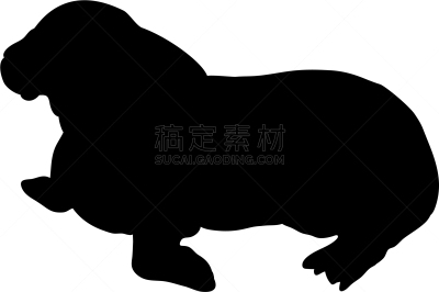 动物,北极,幼兽,海象,黑色,可爱的,生物学,野生动物,模板,剪影