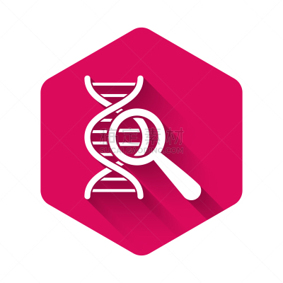 遗传研究,白色,分离着色,图标,长的,生物学,健康保健,螺线,生物化学,搜寻