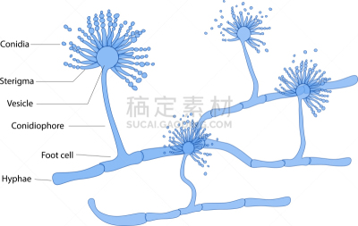 洒水器,湿,不卫生的,卫生,泰国,图像,损坏的,肮脏的,无人,过敏