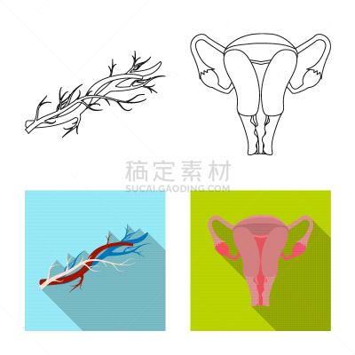 人,计算机图标,人类的生殖器官,卵巢,冠状动脉,主动脉,生病,收集