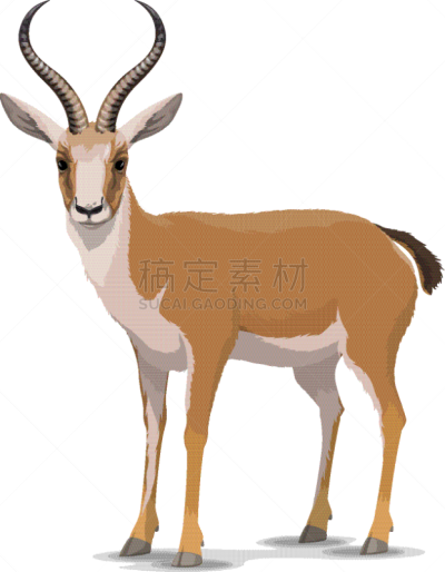 动物,瞪羚,卡通,运动,野生动物,哺乳纲,品牌名称,羚羊,吉祥物,剪影