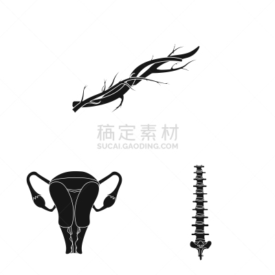 人,标志,人类的生殖器官,卵巢,冠状动脉,主动脉,收集,设计