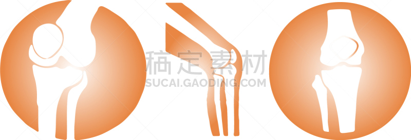 白色背景,计算机图标,膝,生物学,健康保健,胫骨,腓骨,撕破的,问题,科学