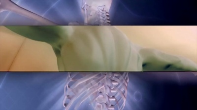 人体解剖学X光医学