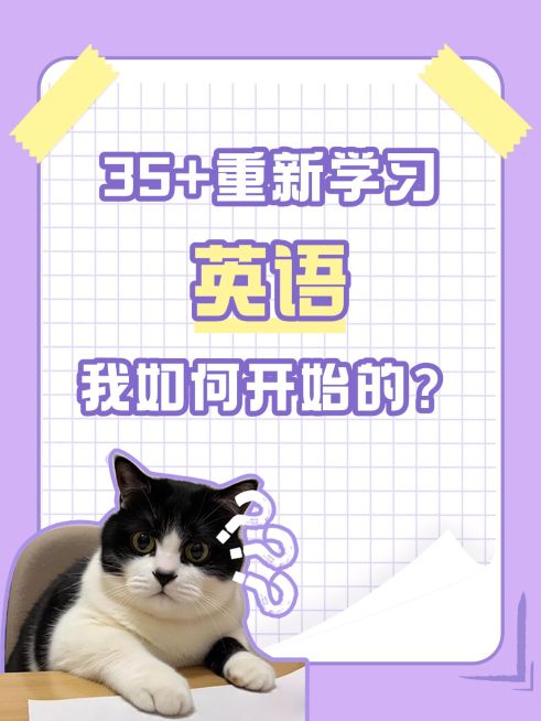 教育爆款大字吸睛小红书封面aigc预览效果