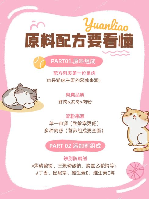 宠物猫粮产品知识科普小红书套装小红书配图预览效果