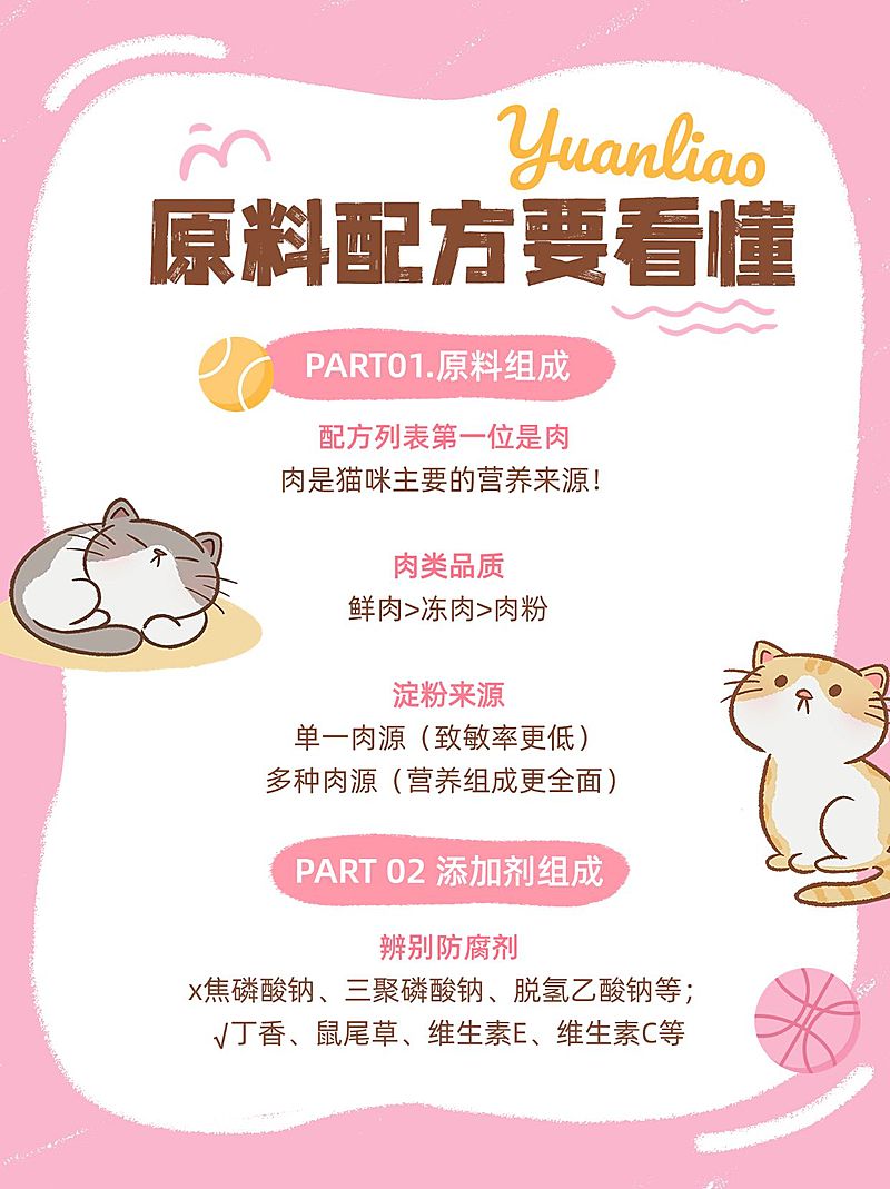 宠物猫粮产品知识科普小红书套装小红书配图