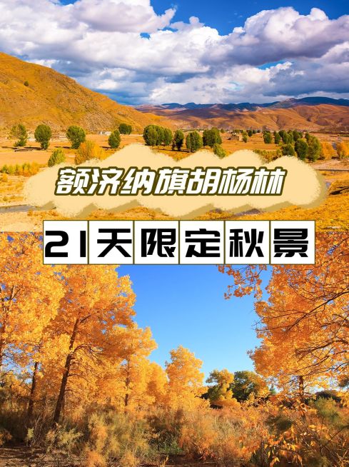 旅游秋季攻略拼图实景小红书封面预览效果