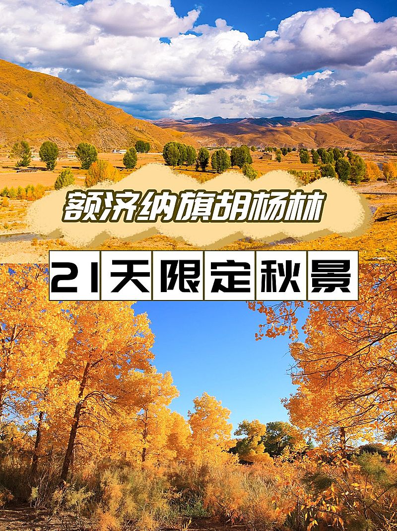 旅游秋季攻略拼图实景小红书封面