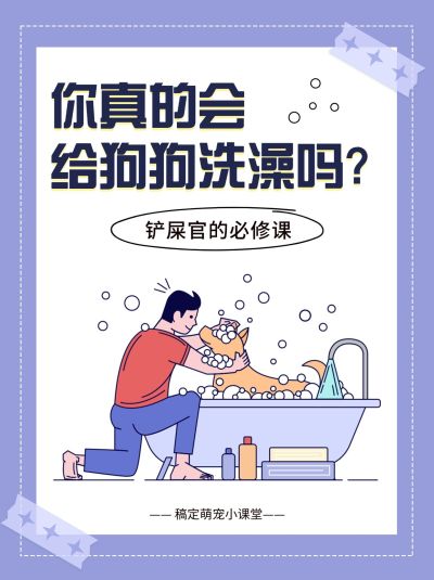 宠物知识科普小红书封面