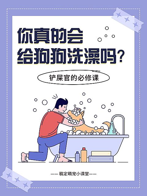 宠物知识科普小红书封面