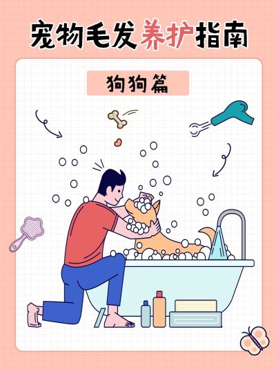 宠物养护指南攻略小红书封面