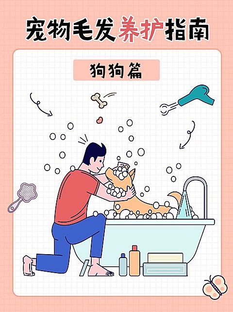 宠物养护指南攻略小红书封面