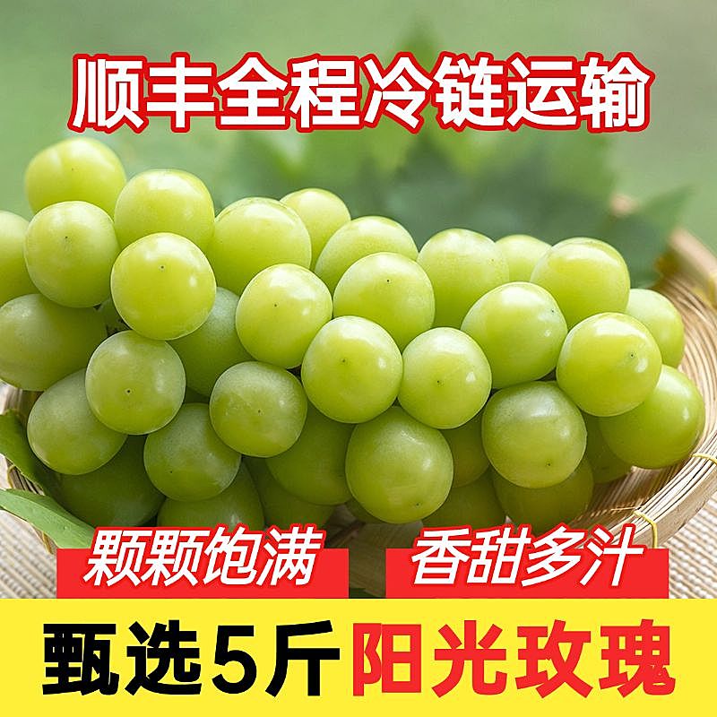 阳光玫瑰葡萄水果商品主图