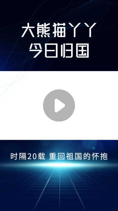 热点大熊猫丫丫回国资讯短视频边框背景