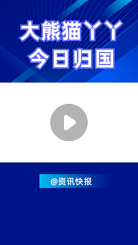 热点大熊猫丫丫回国新闻资讯科技风短视频边框背景