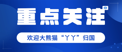 简约政务重点工作会议年终汇报总结公众号首图
