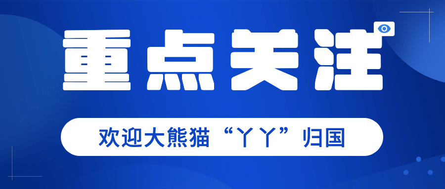简约政务重点工作会议年终汇报总结公众号首图